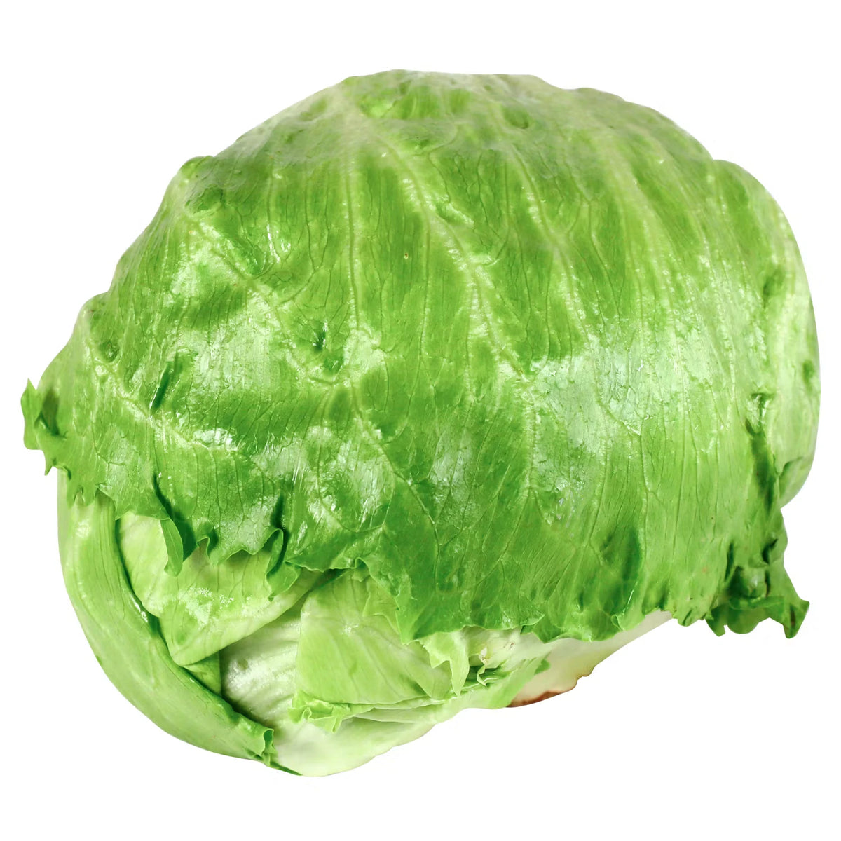 Eisbergsalat Stück