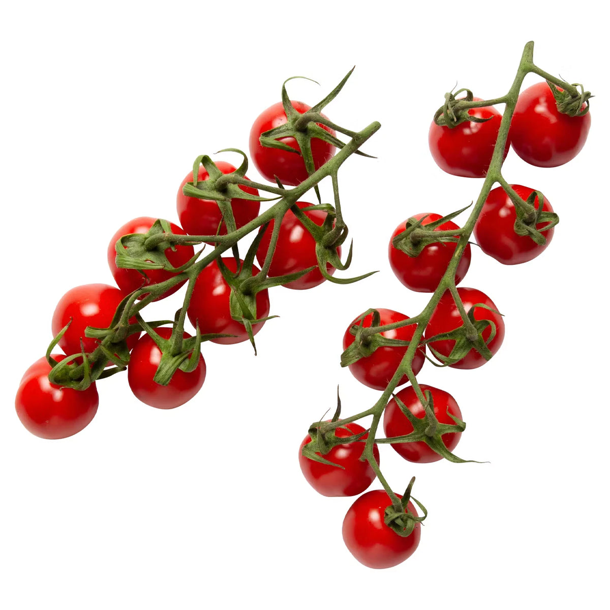 Mini Romarispentomaten 300 g