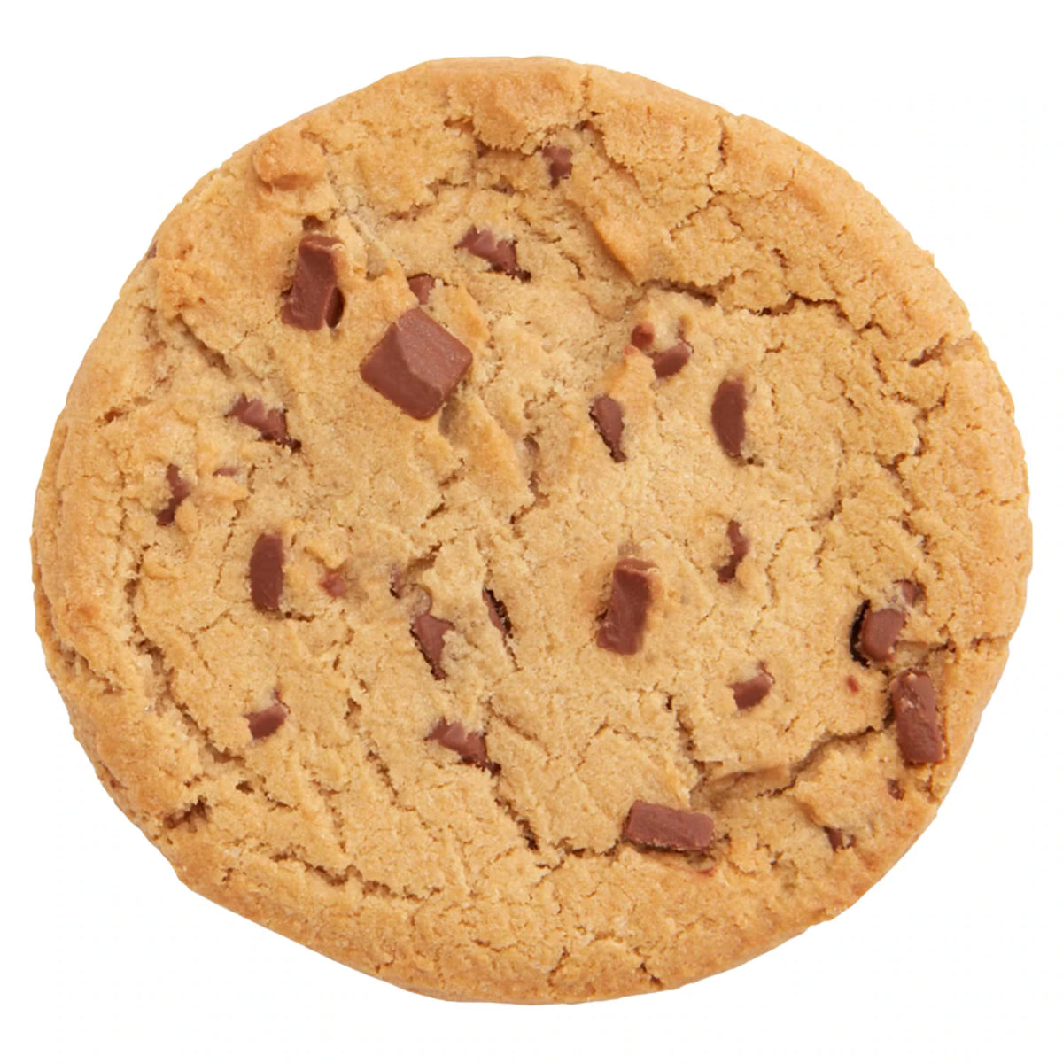 Double Chocolate Cookie