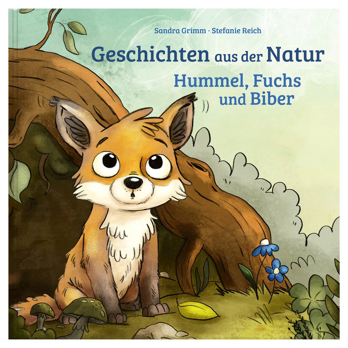 Bilderbuch, Geschichten aus der Natur